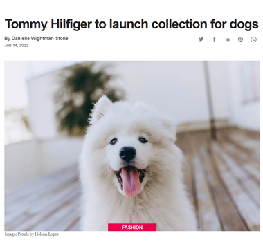 Tommy Hilfiger to launch collection for dogs