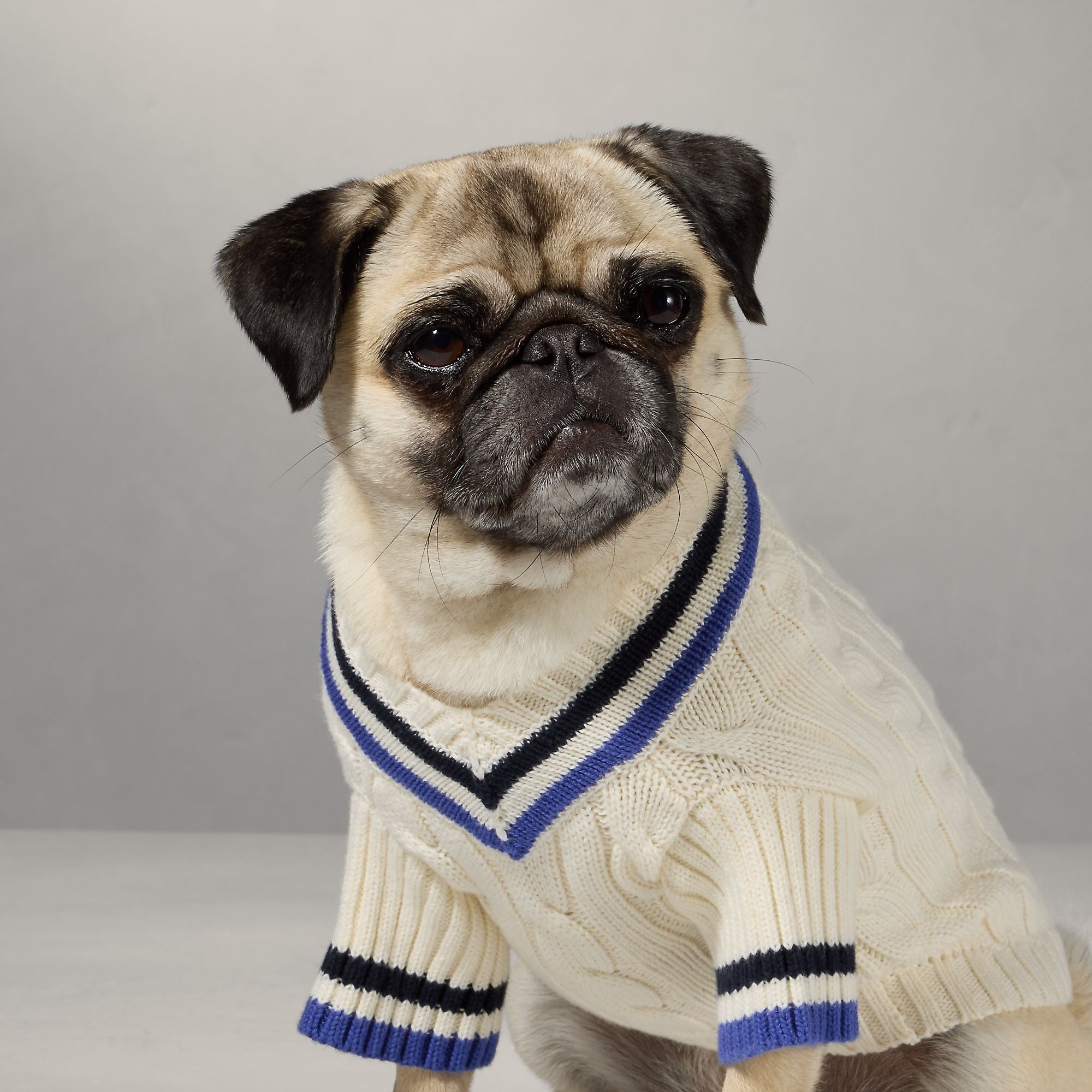 Lauren Polo Ralph Lauren Dog Jacket Polo Ralph Lauren Dog Cricket