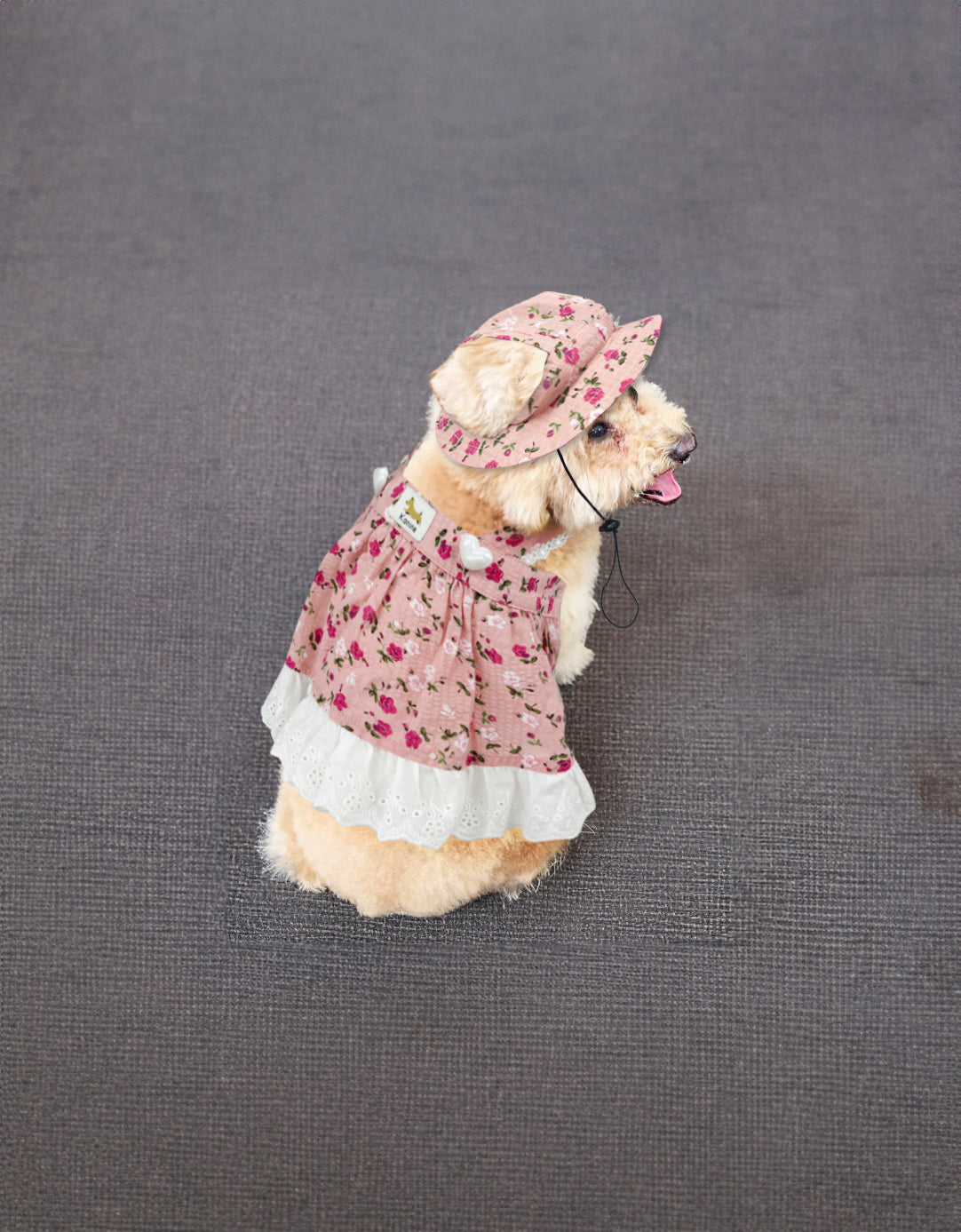 Kanine Dog Floral Lace Dress Elegant Dog Dress | Kanine Pink / M Kanine Dog Floral Lace Dress Elegant Dog Dress | Kanine Pink / M