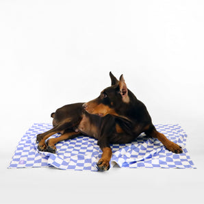 florence by mills Dog Throw Blanket