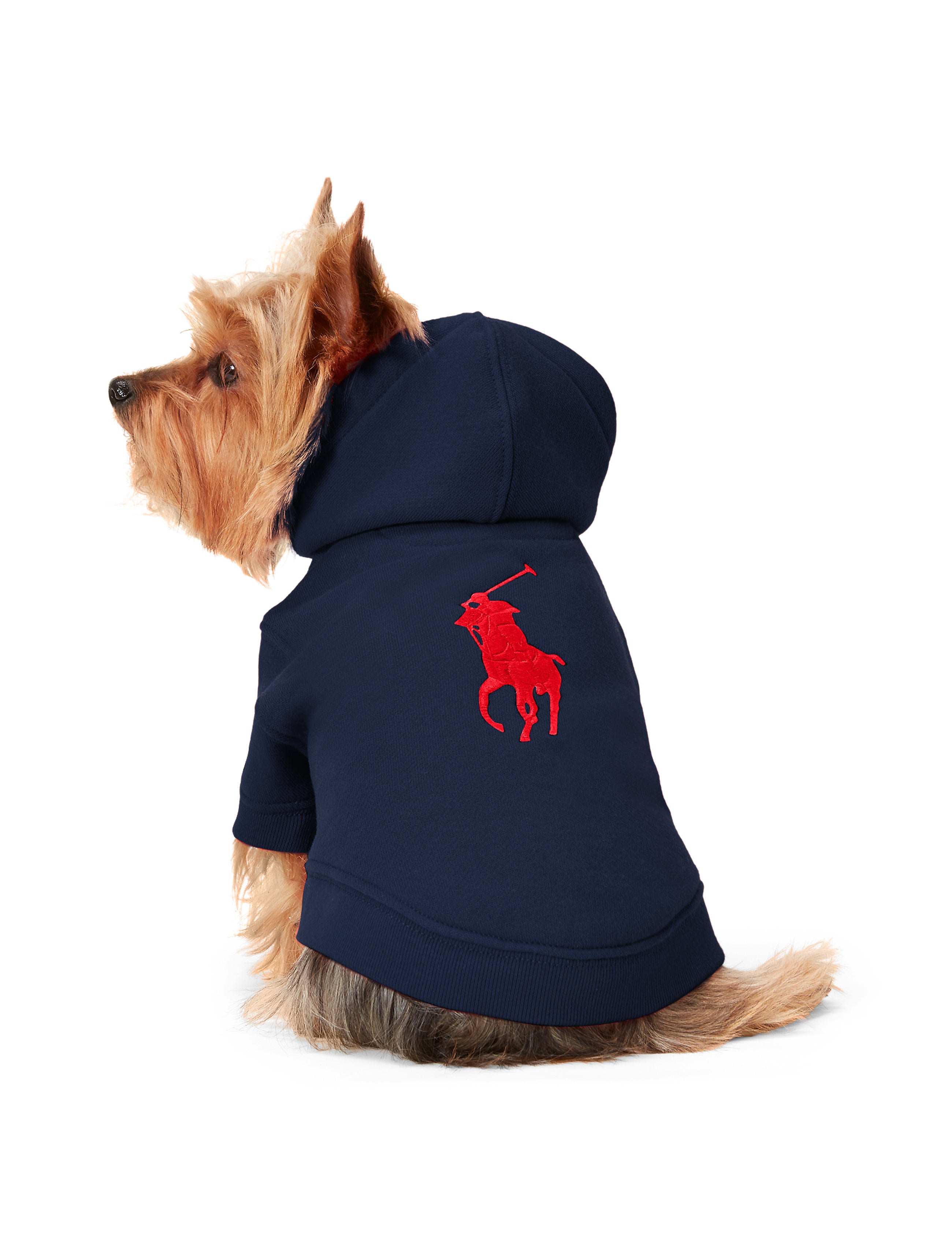 Polo Ralph Lauren Big-Pony Fleece Dog Hoodie –