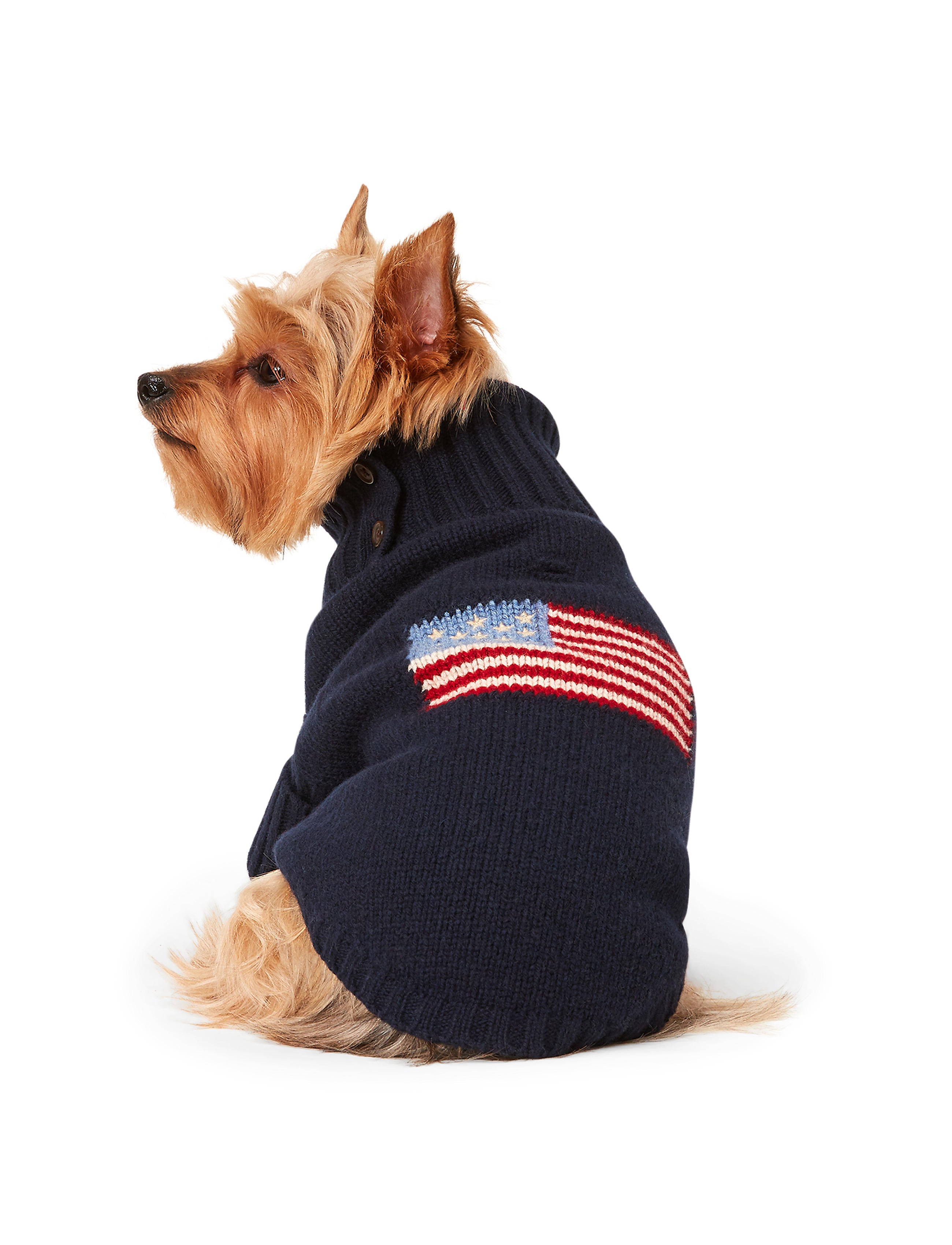 Polo Ralph Lauren Flag Dog Jumper – Wool & Cashmere Blend