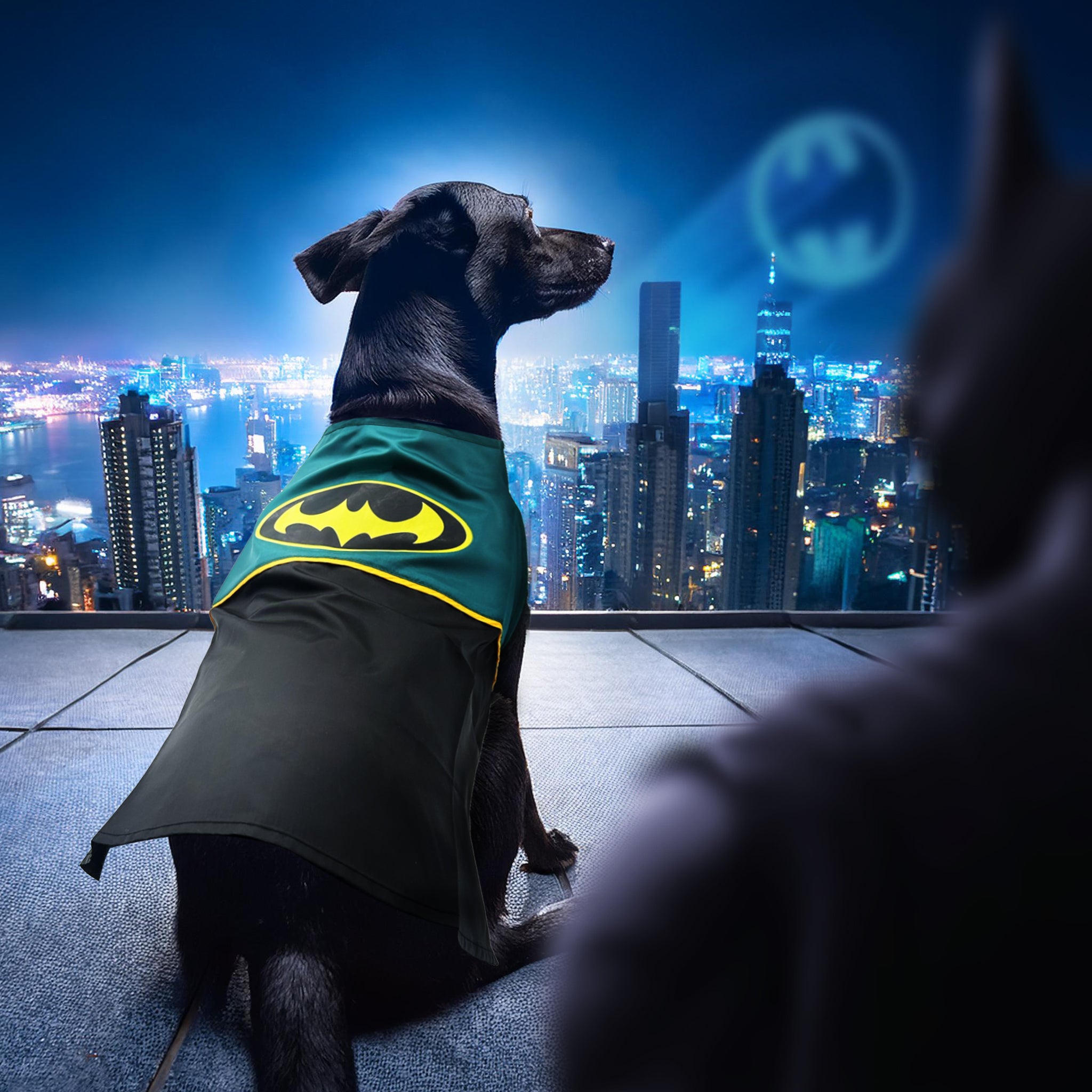 Batman Dog Costume (2024 Edition) – - Main Image