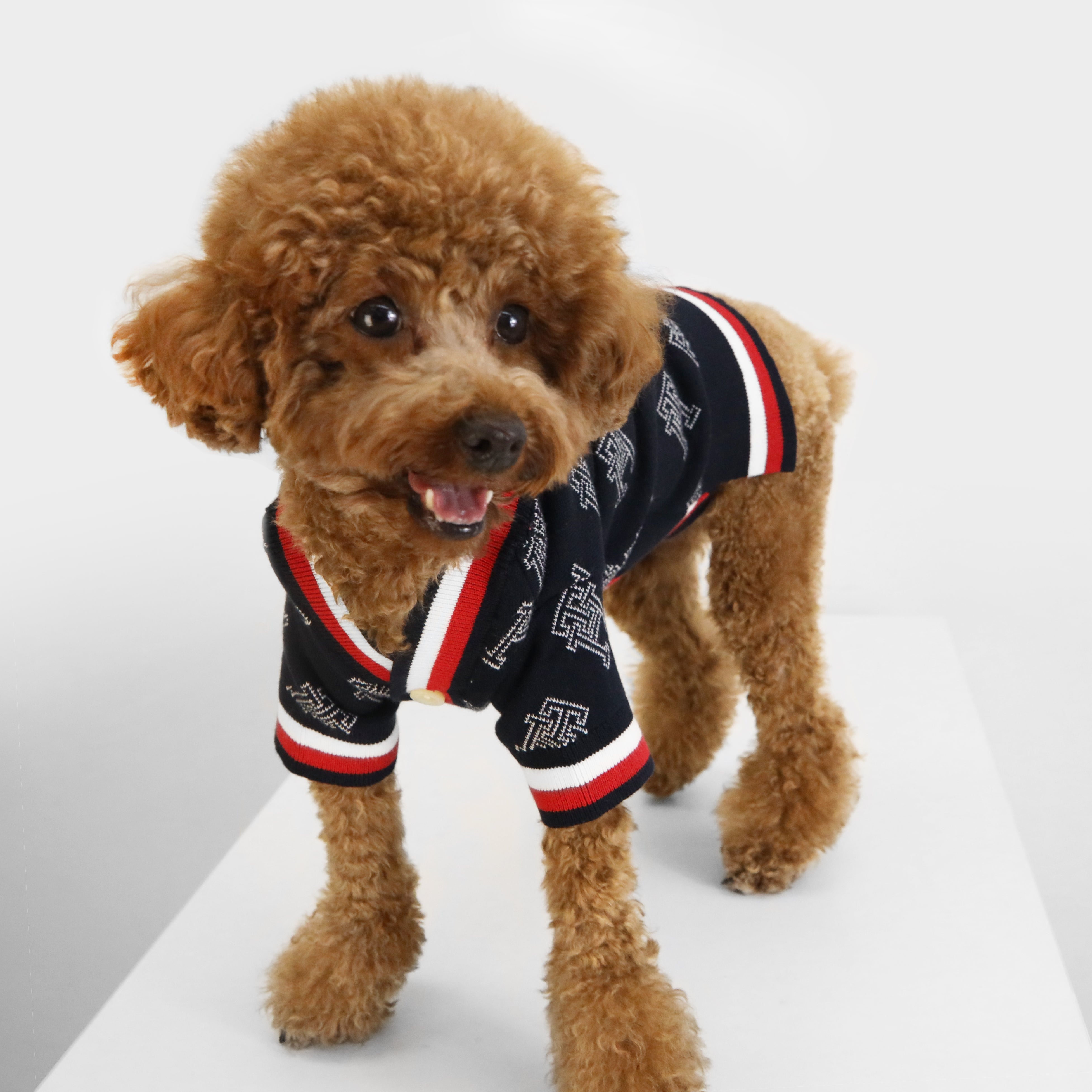 Tommy hilfiger dog hoodie Clearance