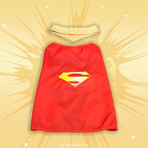 Krypto Costume (Superman)