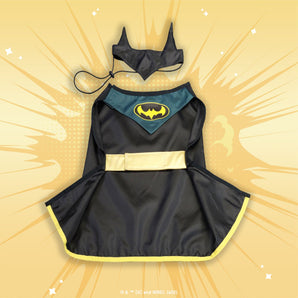 Ace Costume (Batman)