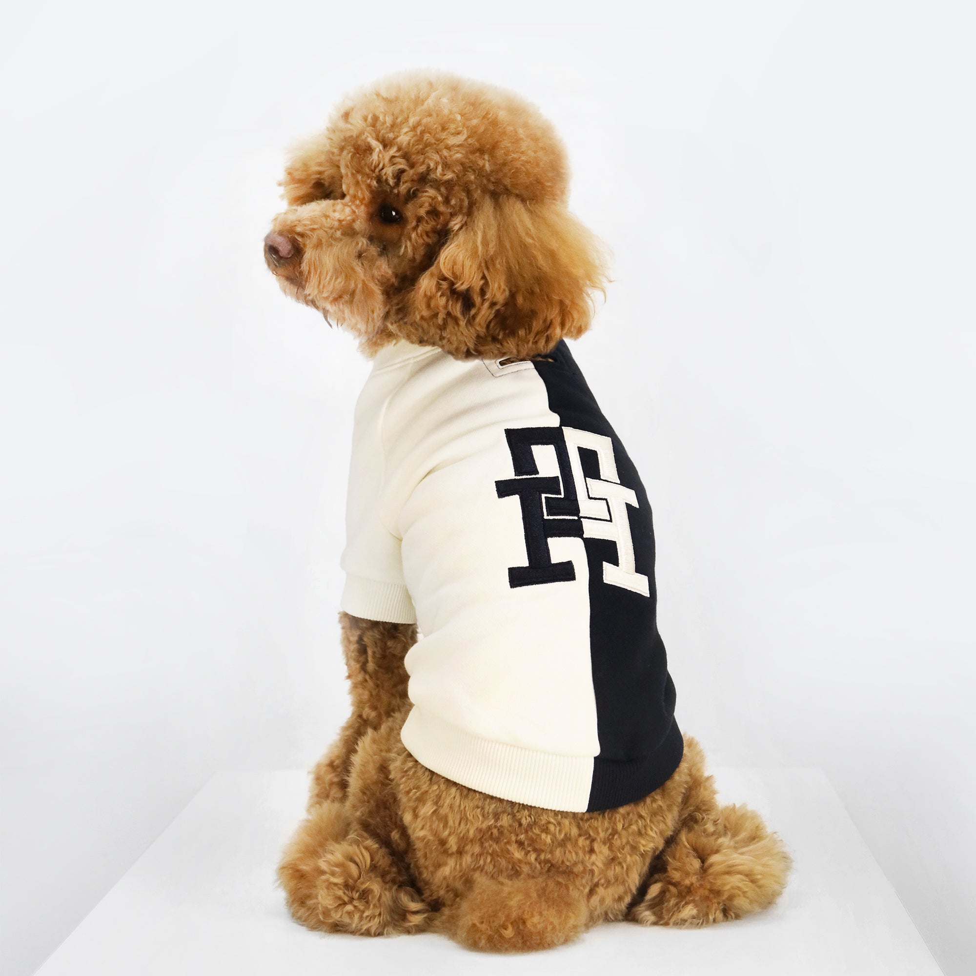 Tommy hilfiger dog hoodie Clearance