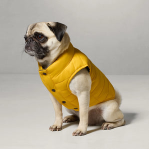 Polo Ralph Lauren Dog-Reversible Spring Puffer Jacket