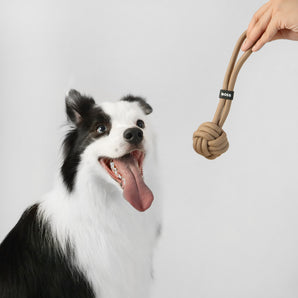 BOSS Dog Rope Ball Toy