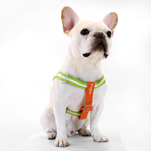 florence by mills Appleskin Leather Dog Harness – Kanine | Premium