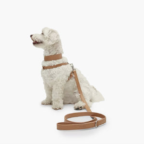 BOSS Dog Recycled Leather Leash