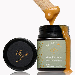 We Just Bee MGO250+ Manuka Honey for Dogs