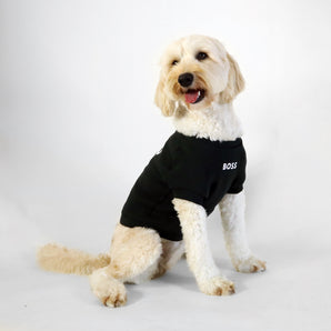Dog Essentials Cotton Sweater