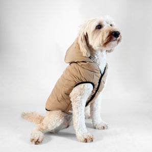 Dog Essentials Vest