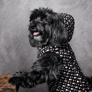 Designer Dog Apparel Luxury Dog Clothing & Outfits | Kanine Kanine | Premium Designer Dog Apparel & Accessories Designer Dog Apparel Luxury Dog Clothing & Outfits | Kanine Kanine | Premium Designer Dog Apparel & Accessories