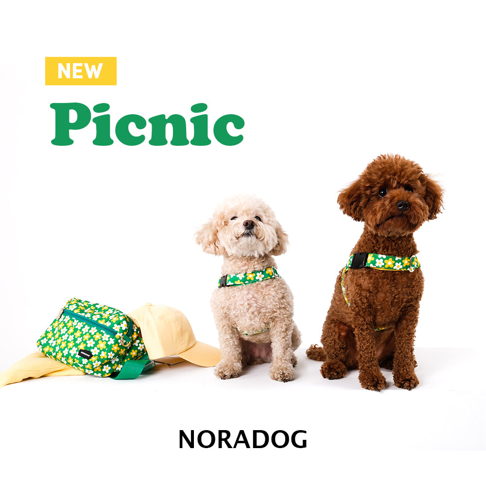 Two dogs wearing Noradog picnic-themed accessories on a white background