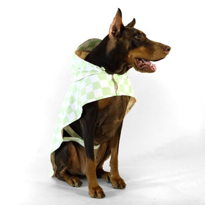 florence by mills Raincoat for Dogs