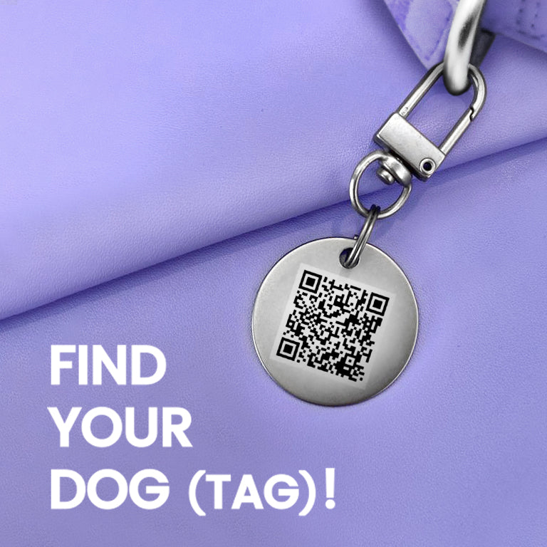 florence by mills QR code dog tag