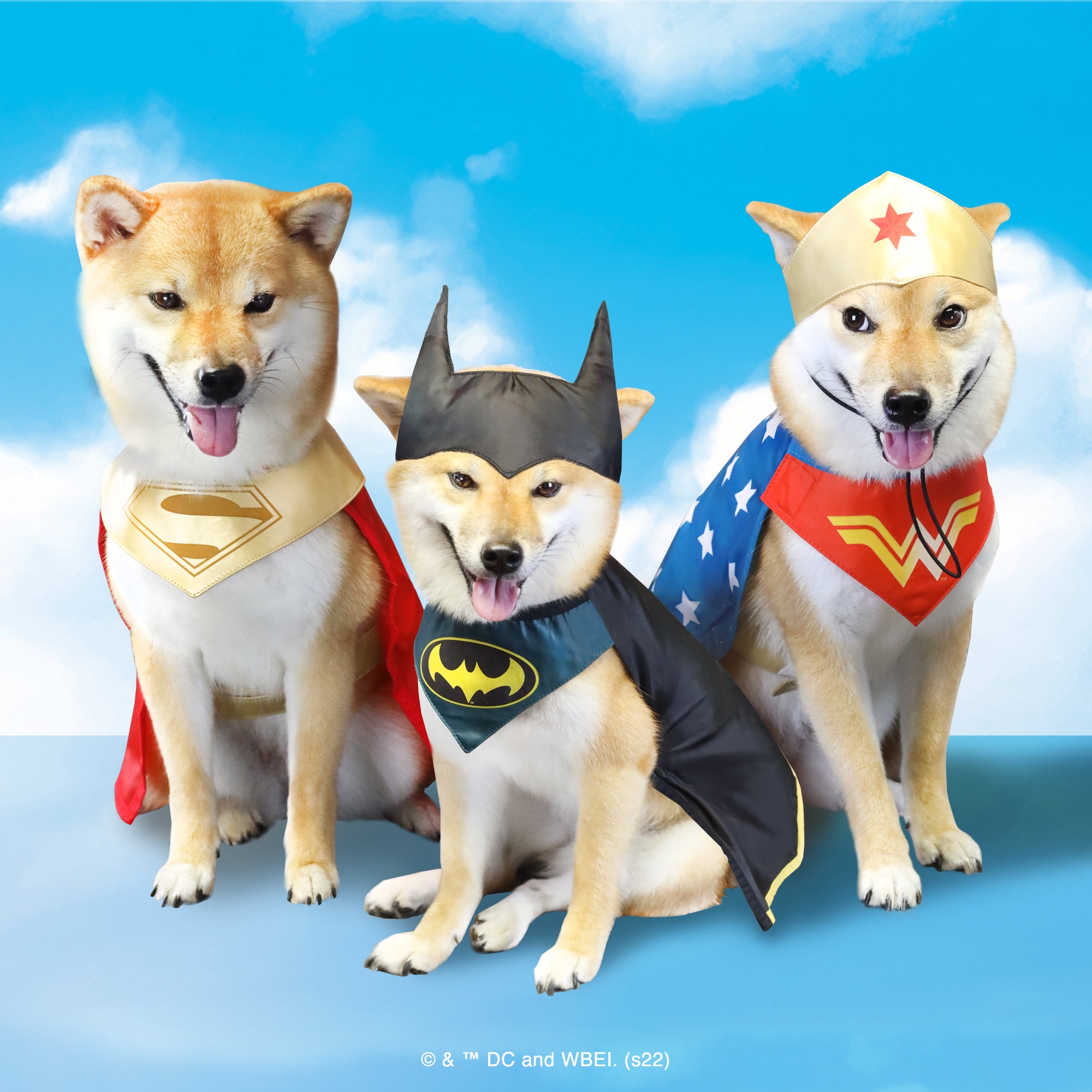 Batman Dog Costume (2024 Edition) – - Main Image