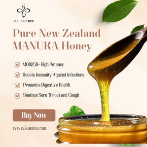 We Just Bee MGO250+ Manuka Honey for Dogs