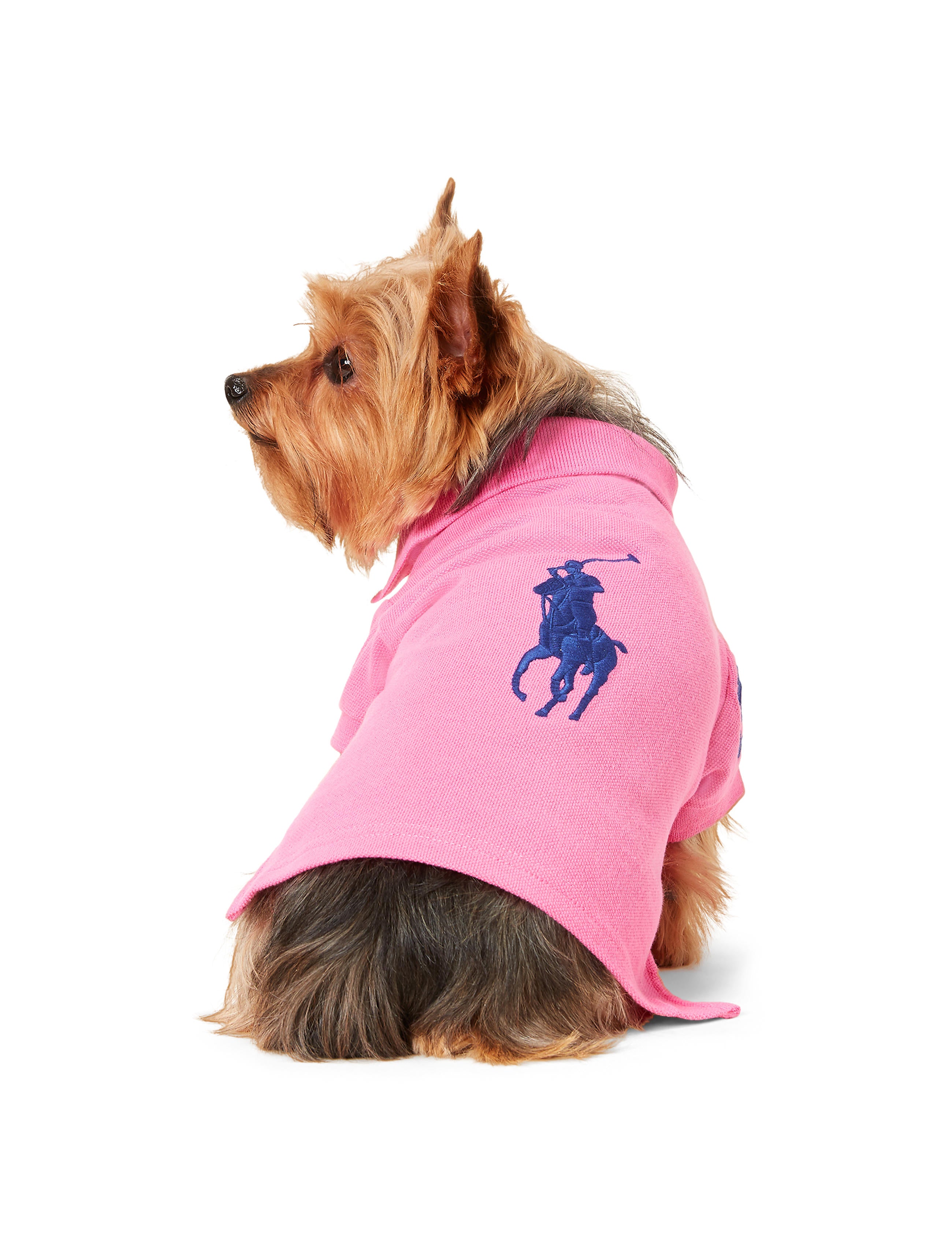 Ralph lauren dog polo shirts Clearance