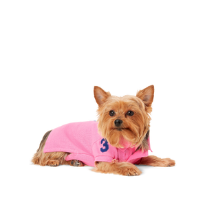 Polo Ralph Lauren Dog Clothing & Accessories – Official | Kanine