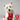 West Highland White Terrier wearing Arsenal Pet Kit in size M