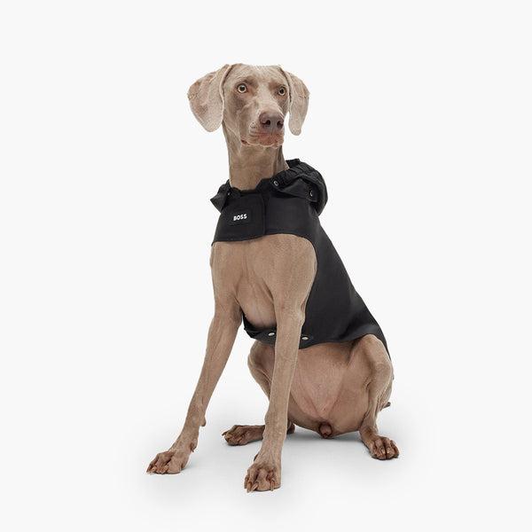 BOSS Dog Raincoat – Official Luxury Waterproof Dog Coat | Kanine