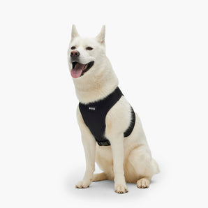 BOSS Dog Core Walk Harness