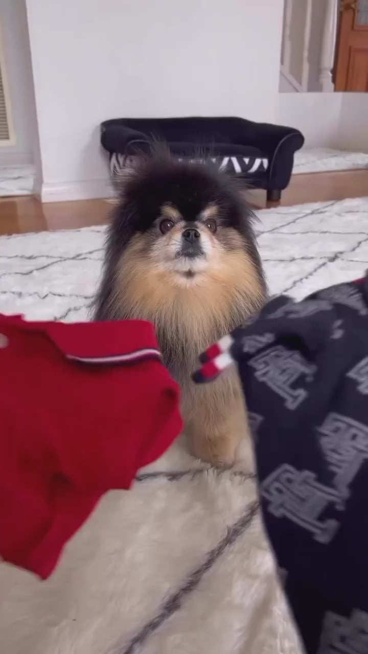 Tommy Hilfiger Button Front Dog Sweater | Premium Dog Apparel