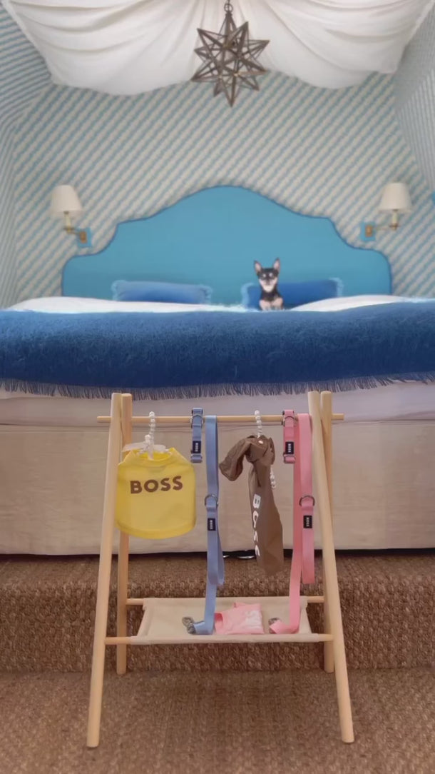A BOSS branded dog hoodie made of French terry fabric, video with chihuahua