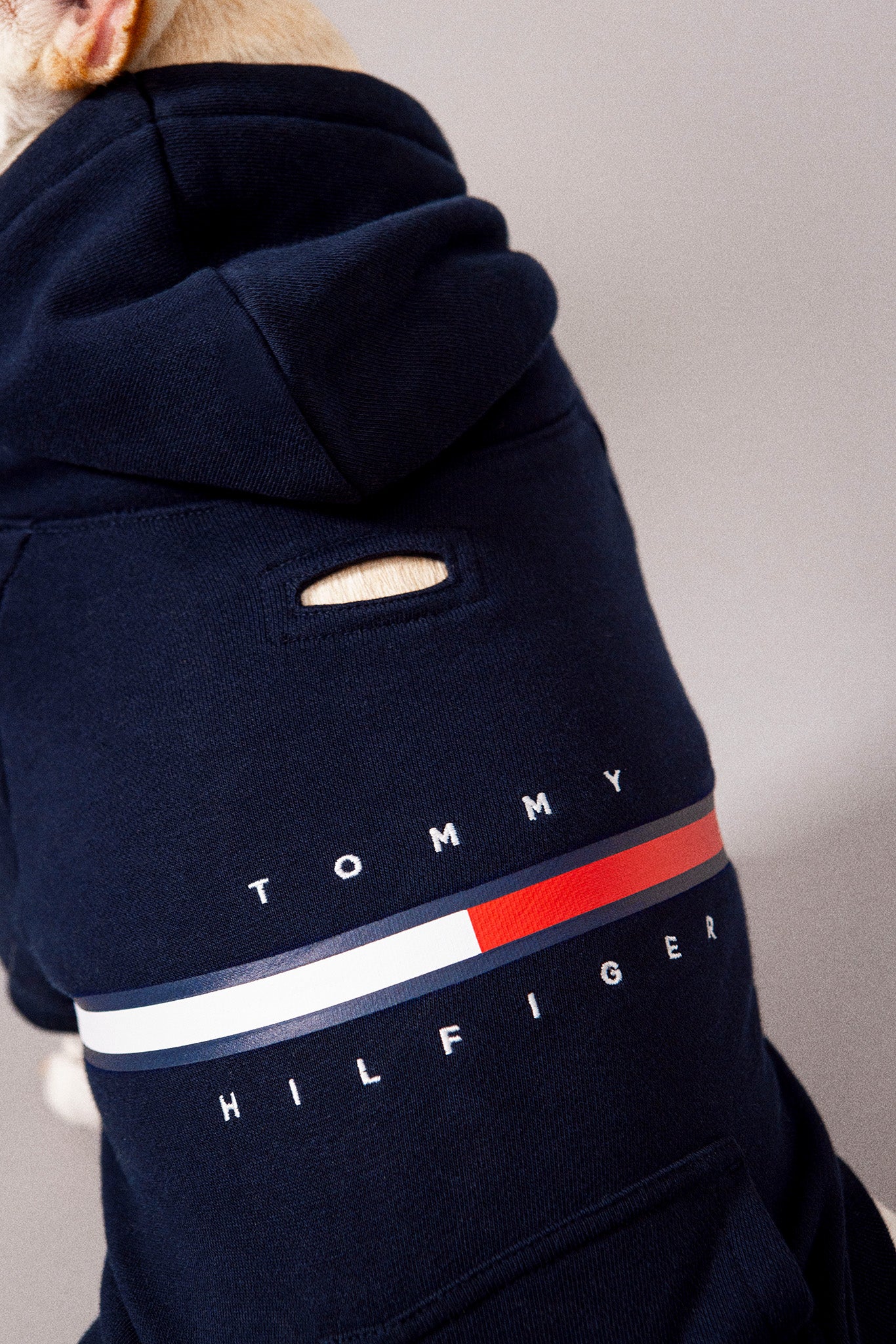 – Color-Blocked Kanine Sweat Tommy Hilfiger Shirt