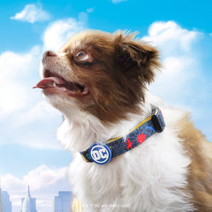 DC League of Superpets Dog Collar