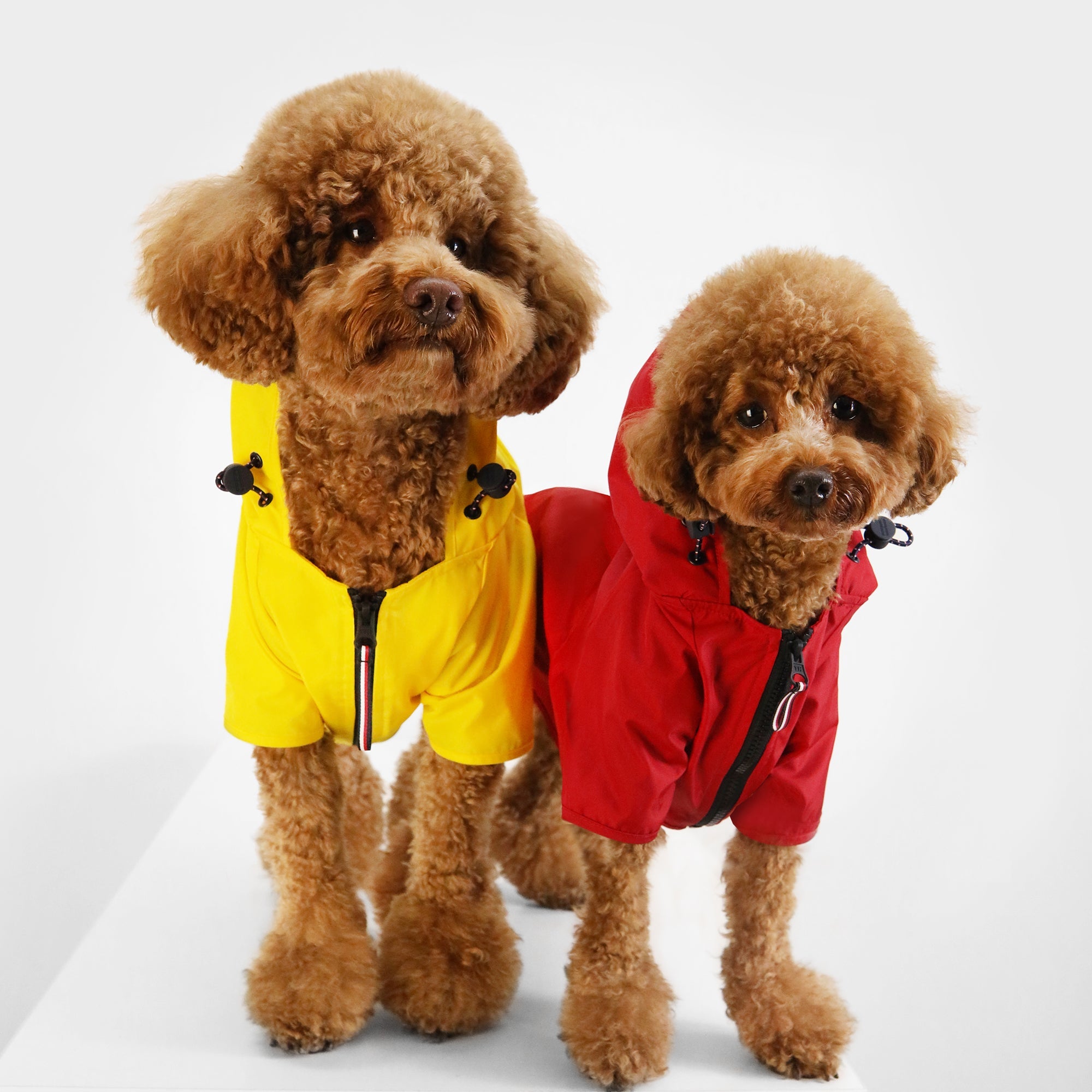 Tommy Hilfiger Dog Raincoat